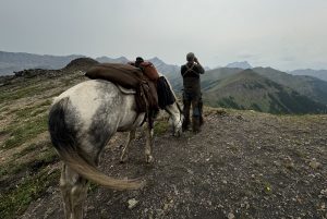 Hunter and horse