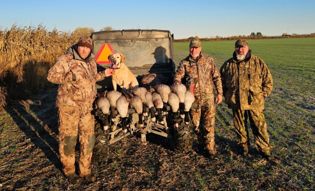 Canadian Geese shot with Fowlers Guide service