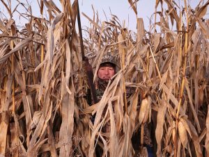 hunter in standing corn field