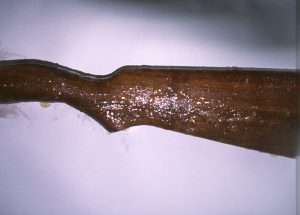 Wood stock that needs stripping