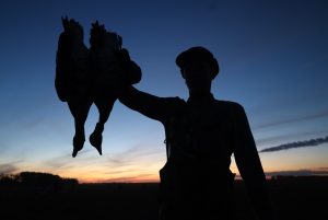 birds silhouetted in twilight