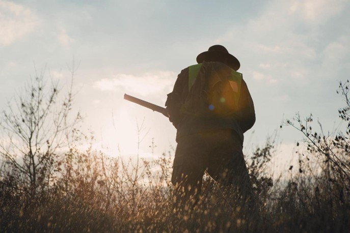 Reading the Environment: What Outdoor Decision-Making Teaches About Managing Risk