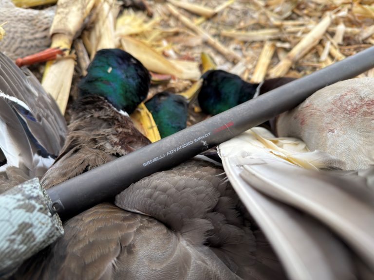Benelli A.I.: Why Bigger Can Be Better in a Shotgun Barrel author reviewing the benelli advanced impact