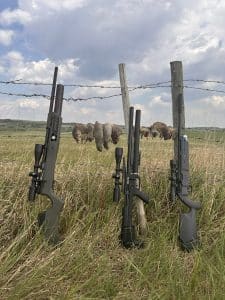 hunting with the umarex gauntlet