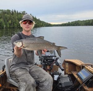 Ontario Fly-in fishing produces large Canadian Whitefish