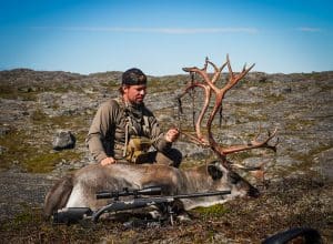 Caribou taken with a bow while Greenland caribou hunting