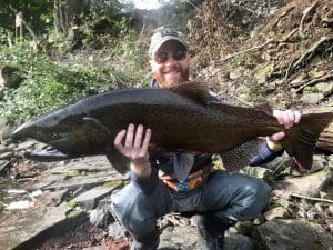 Large salmon caught on a fly reel