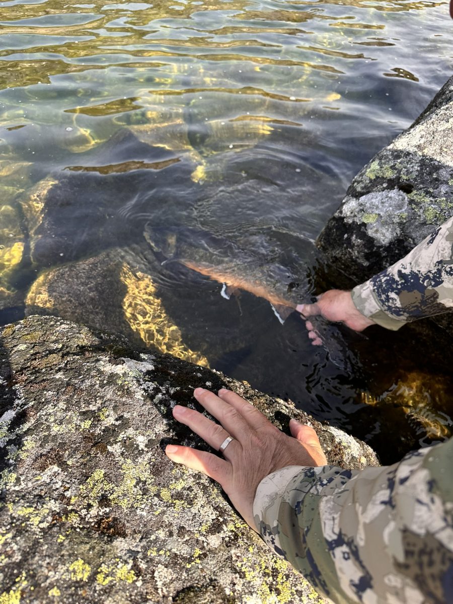 Greenland Hunting and Fishing with Brad Fenson 15