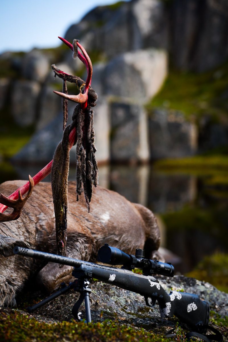 Greenland Hunting and Fishing with Brad Fenson 3