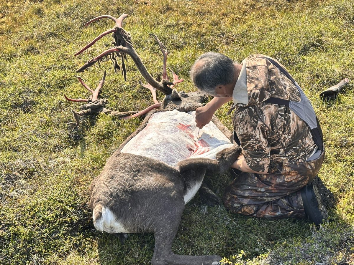 Greenland Hunting and Fishing with Brad Fenson 31