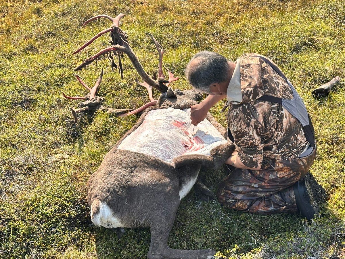 Greenland Hunting and Fishing with Brad Fenson 31