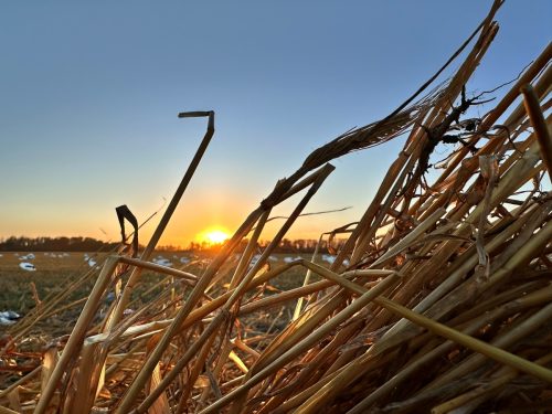 Fenson-Aurora Skies Outfitters (14)