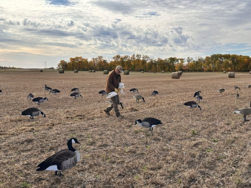 Fenson-Aurora Skies Outfitters (4)