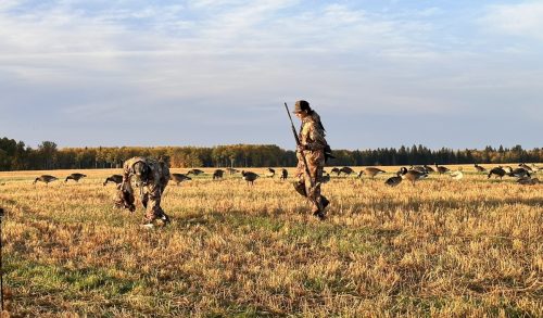 Fenson-Aurora Skies Outfitters (9)