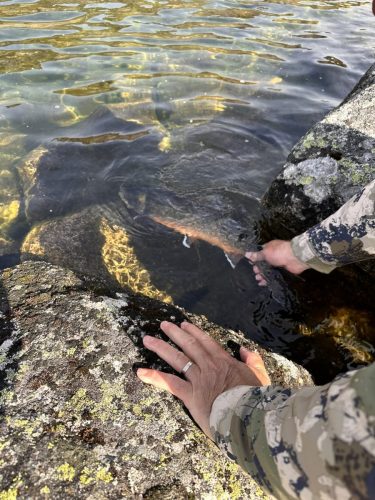 Greenland Hunting and Fishing with Brad Fenson 15