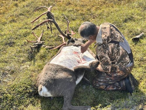 Greenland Hunting and Fishing with Brad Fenson 31