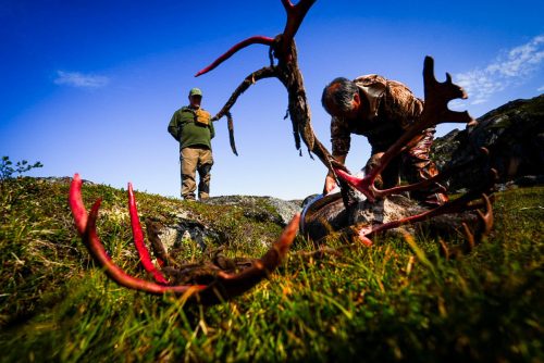 Greenland Hunting and Fishing with Brad Fenson 35